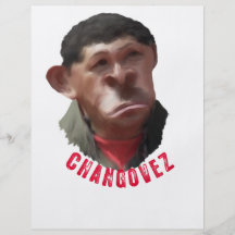 CHANGOVEZ CUSTOM FLYER
