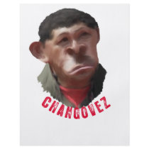 CHANGOVEZ FLYER