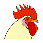 Chaning Chicken photo sculptures