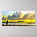 Channel Island Waves posters