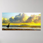 Channel Island Waves posters
