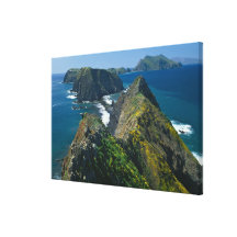 Channel Islands National Park, Southern Gallery Wrapped Canvas