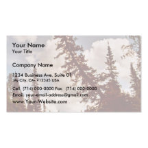 Channel to Oxbow Lake Business Card