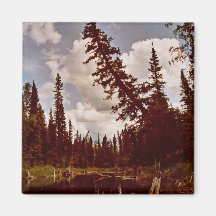 Channel to Oxbow Lake Fridge Magnets
