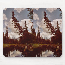 Channel to Oxbow Lake Mouse Pads