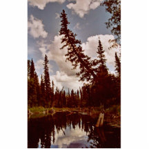 Channel to Oxbow Lake Photo Sculpture