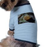 Channeled tun (Tonna cepa) Shell Pet T-shirt