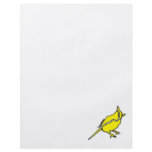 Channy Canary flyers