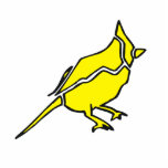 Channy Canary photo sculptures