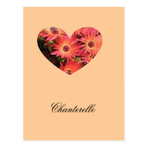 Chanterelle Post Cards