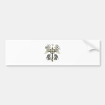 Chaos is Order Bumper Sticker
