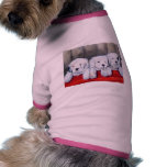 Chaos waiting to happen pet clothing