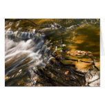Chapel River Detail Greeting Cards