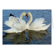 Chaperoned Swan Heart Love Cards