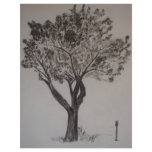 Charcoal Drawing of a Street Tree flyers