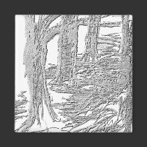 Charcoal Trees Magnet