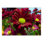 Chardonna Mum Blank Cards