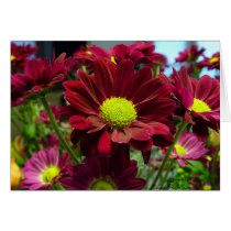 Chardonna Mum Blank Cards