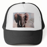 Charging Elephant  by DiDi Mesh Hat