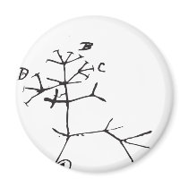 Charles Darwin - I Think (Black) Refrigerator Magnet