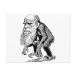 Charles Darwin Original Illustration postcards