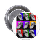 Charles Darwin Pop Art Gifts for All Ages Pinback Button
