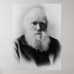 Charles Darwin posters