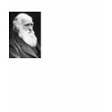 Charles Darwin Quote 3b t-shirts