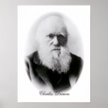Charles Darwin Vignette posters