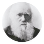 Charles Darwin Vignette Sticker
