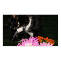 Charli Cat and Flowers Business Card Templates