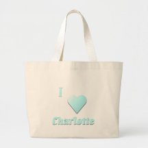 Charlotte -- Light Blue Bag