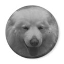 Charming Smile magnets