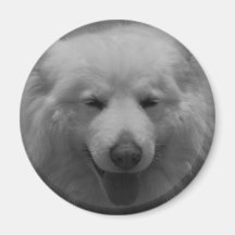 Charming Smile Refrigerator Magnets
