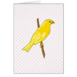 Charnille Canary cards