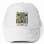 Charolais hat