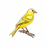 Charry Canary photo sculptures
