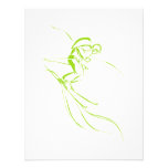 Chartreuse Downhill Announcements