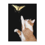 chase your dream postcards