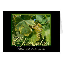 Chasselas Wine Grapes in Mont-Sur-Rolle Card