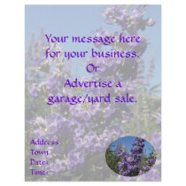 Chaste Tree Purple Flowers