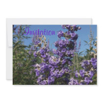 Chaste Tree Purple Flowers