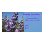 Chaste Tree Purple Flowers photo cards