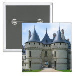 Château de Chaumont sur Loire Pin