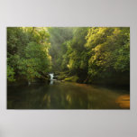 Chattooga River at Dawn Posters