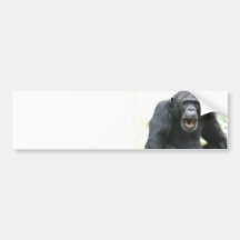 Chatty Chimp Bumper Sticker