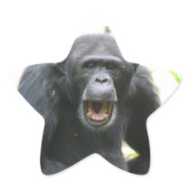 Chatty Chimp Sticker