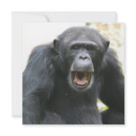 Chatty Chimpanzee Invitations