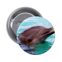 Chatty Dolphin Button
