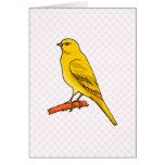 Chaz Canary cards